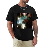 Luray Caverns Coin Pond T-Shirt Short Sleeve Tee Blouse Black T Shirts Mens Cotton T Shirts