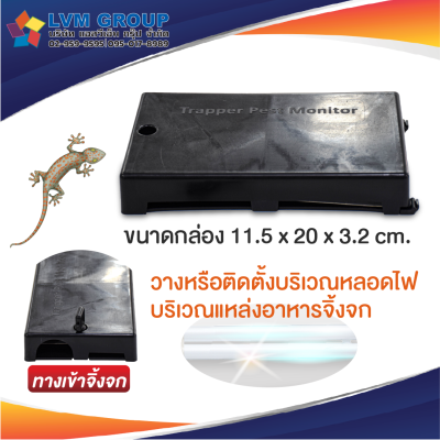 กล่องดักจิ้งจก Trapper Pest Monitor รูปแบบใหม่ มีกุญแจล็อค กำจัดจิ้งจก จิ้งจก พร้อมส่ง-LVMH