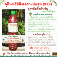 หัวเชื้อจุลินทรีย์สังเคราะห์แสง (PSB) เข้มข้น สามารถขยายเชื้อต่อได้ 500 มิลลิลิตร และ 1500 มิลลิลิตร ปุ๋ยน้ำ ปุ๋ยอินทรีย์ ไร้สารเคมี