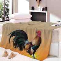 Tool Rooster orange light 3D wall Plush Fleece Blanket picnic