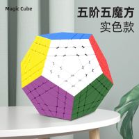 Shengshou Gigaminx Stickerless Black Twist Puzzle Cubo Magico Educational Toy Gift Idea  Drop Shipping Brain Teasers