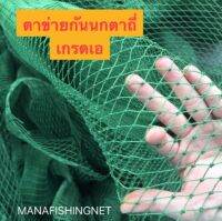 ตาข่ายกันนก  BIRD NET