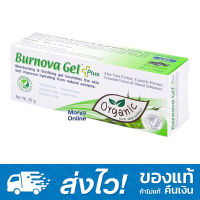 Burnova Gel Plus 25g (หลอดสีเขียวเล็ก) เบอร์โนว่า เจล พลัส