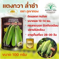 GrowsPro เมล็ดพันธุ์แตงกวา ล่ำซำ 100 กรัม, 50 กรัม แตงกวาทรงกระบอก ผลดก สีเขียว ขนาดผล 12-14 ซม.