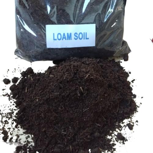 1KG Mix Garden LOAM Soil High Quality WITH rice hull ipa vermicast