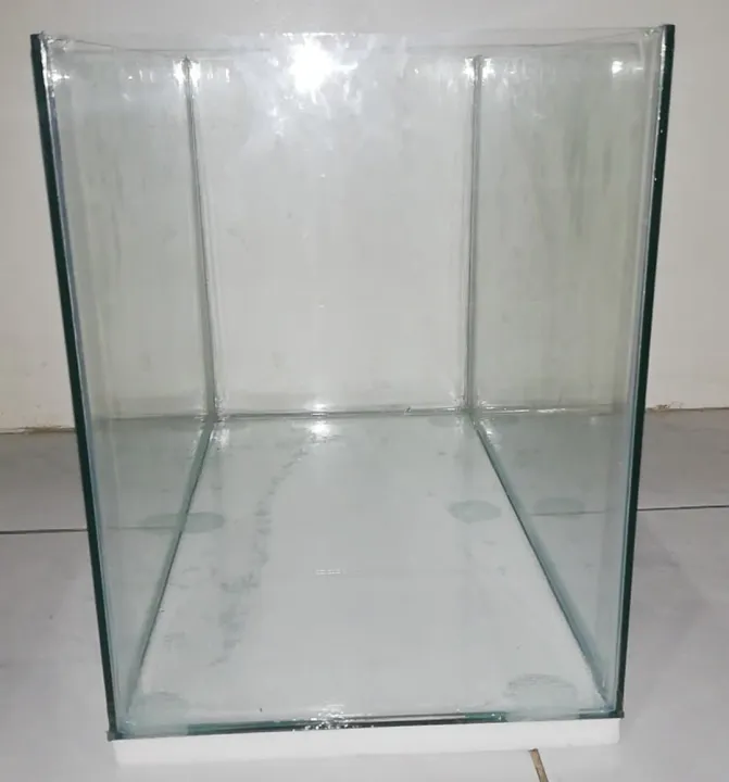 15 GALLOON AQUARIUM TANK WITH RIMMED | Lazada PH