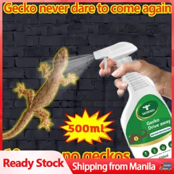 Buy Gecko Trap online