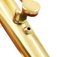 New Alto Saxophone Bend Neck Brass Material Sax Woodwind Instrument Accessory 25mm