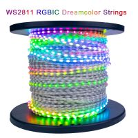 LED String Lights Dream Color Accessories WS2811 RGBIC Addressable Individually Fairy Light 5V Room TV Party Kitchen Decoration Fairy Lights