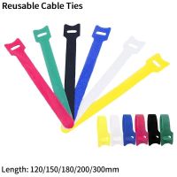 5M Cable Ties Reusable Adhesive Loop Bundle Fastener Nylon Strap DIY Accessories Organizer Holder Management Straps Wire Tie