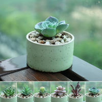 สีเขียวประดิษฐ์ Succulents จำลอง Flocking พืชสร้างสรรค์กระถางดอกไม้ปลอมหัว DIY บ้านสวนตกแต่งสก์ท็อป