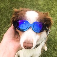 แว่นตาสีสันสดใสสำหรับสุนัขแว่นตาสัตว์เลี้ยงแว่นกันแดดปกป้องสุนัขแมววัสดุ PC สำหรับสุนัขขนาดกลาง/สุนัขขนาดเล็ก/แมว