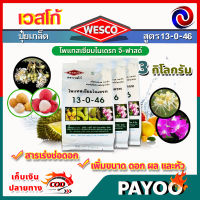 บรรจุ 3 กิโลกรัม WESCO ปุ๋ย 13-0-46 โพแทสเซียมไนเตรท จี-ฟาสต์ ปุ๋ยเกล็ด เวสโก้ สารเร่งช่อดอก เพิ่มขนาด ดอก ผล และหัว