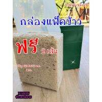 ✨โปรสุดคุ้ม กล่องแพ็คข้าวสาร [ใช้กับถุง12+6x32] บล็อกแพ็คข้าว(1กก.) กล่องไม้แพ็คข้าวสาร บล็อคแพ็คข้าว (พร้อมส่ง) ส่งเร็ว?