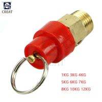 ✷✁☁ 1KG 3KG 4KG 5KG 6KG 7KG 8KG10KG12KG Air Compressor Safety Release Relief Valve Connector Air Gas Pressure Relief Regulator 1/4