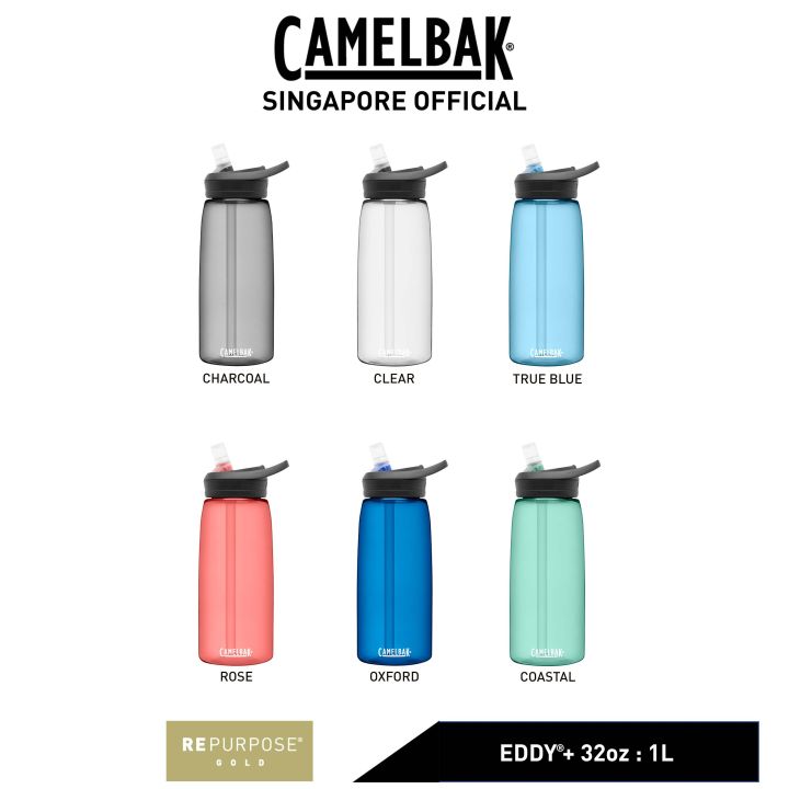 CamelBak Eddy+ Water Bottle Replacement Bite Valve and Straw