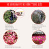 Combo kingdom saffron nhụy hoa nghệ tây và nụ hồng khô iran thượng hạng 1 - ảnh sản phẩm 5