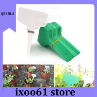 ixoo61 store 100pcs Plant Tag T Type Plant Markers Label Nursery Pots GardenTool  for Plant Flower Pot Vegetable Tray Sign Card