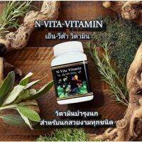 ❗️❗️ SALE ❗️❗️ N-Vita Vitamin เอ็น-วีต้า วิตามิน วิตามินน้ำแดง (กระปุก 100 กรัม) !! อาหารเสริม และวิตามิน Supplements &amp; Vitamins บริการเก็บเงินปลายทาง โปรโมชั่นสุดคุ้ม โค้งสุดท้าย ราคาถูก คุณภาพดี โปรดอ่านรายละเอียดก่อนสั่ง