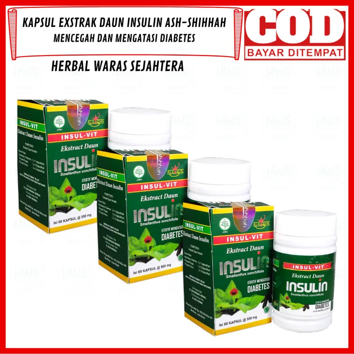 Paket Botol Kapsul Daun Insulin Herbal Penurun Diabetes Kapsul Ekstrak Daun Insulin Insul Vit