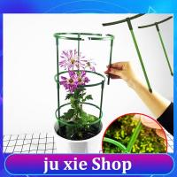 JuXie store 2/5pcs Flowers Plastic Plant Support Pile Holder Stand round for tomato Greenhouse Arrangement Rod Orchard Garden Bonsai Tool