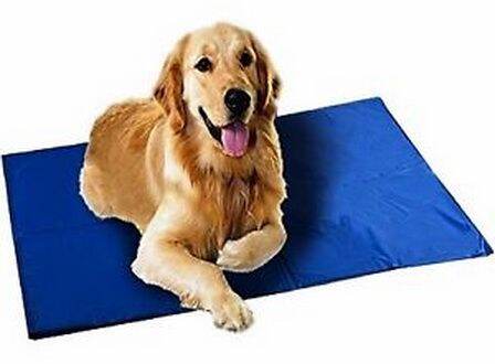 pet-cool-mat-ที่นอนเจลเย็นหมา-แมว-ขนาดl-แผ่นเบาะเจลเย็นรองนอนสำหรับสุนัขตัวใหญ่-ช่วยคลายร้อนสำหรับสุนัข-size-l-90-50cm-ผ้าหุ้มหนากันน้ำซึม-ทำความสะอาดง่าย