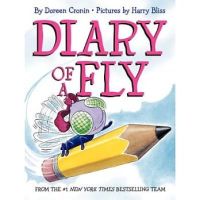Diary of a fly diary childrens picture book