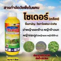 ไซเดอร์ ( เหลือง )( 1 ลิตร ) สูตรพิเศษ ? ไซฮาโลฟอบ-บิวทิล 10 %