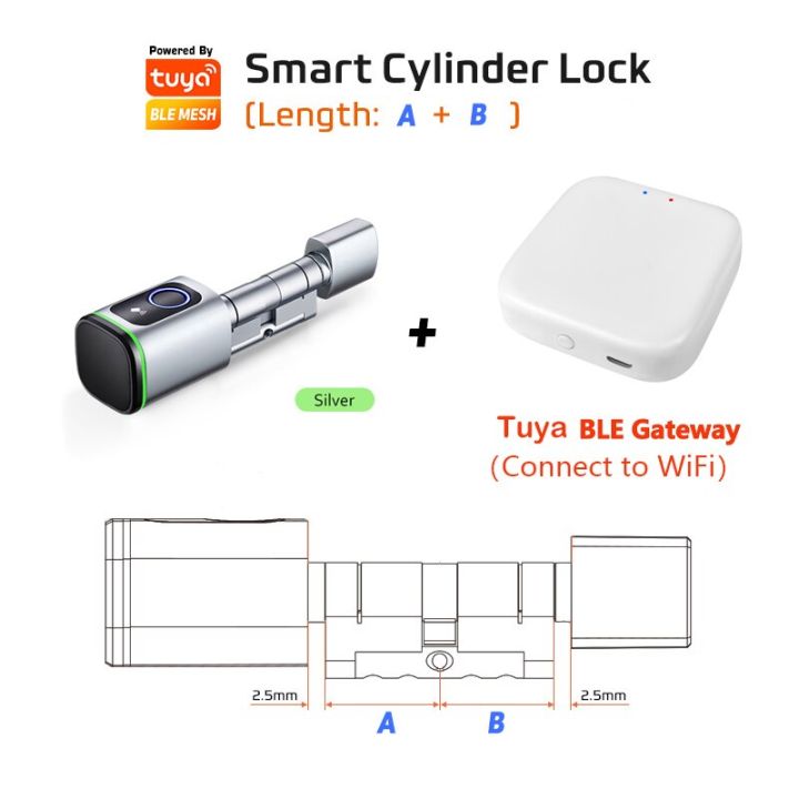 แอป-tlock-ในยุโรปของซาอุดิอาระเบียบัตรสแกนลายนิ้วมือ-rfid-diy-ล็อกกระบอกสูบประตูล็อคอัจฉริยะอิเล็กทรอนิกส์ชีวมาตรแทนที่ด้วยกุญแจดิจิตอล