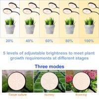 Led Grow Light USB Full Spectrum Greenhouse Plant Grow Light Phyto หลอดไฟ Hydroponics ในร่ม Grow เต็นท์สำหรับต้นกล้าดอกไม้