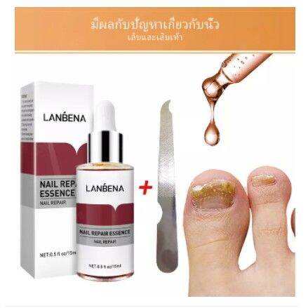 lanbena-เซรั่มเล็บ-บำรุงเล็บ-เล็บขบ-เชื้อรา-ซ่อมแซมเล็บแตก-เล็บเปราะ-เล็บหนา-15ml-แถมฟรี-ตะไบเล็บ