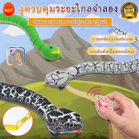 งูบังคับ งูรีโมทบังคับ งูเสมือนจริง ของเด็กเล่น ของเล่น ของเล่นงูบังคับ
