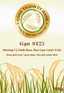 gạo ST25 giá 30k 1kg - HCM