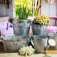 【CC】 Embossed Wrought Desktop Balcony Storage Succulent Planting Flowerpot Pot Iron