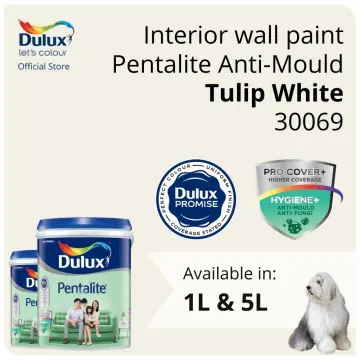 Buy Dulux Paint in SG January, 2024