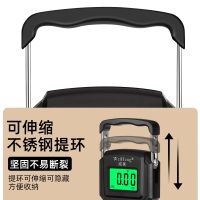 Weiheng 75 kg precision portable electronic scale small express weighing portable household weighing hook luggage weighing fish