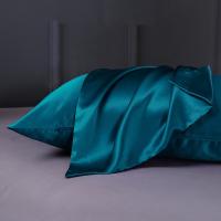 【CW】✉◕  22 Momme Silk Pillowcase 1pc Muticolor King