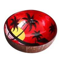 Coconut Bowls Colorful Painting Vegan Organic Salad Smoothie or Bowl Kitchen Utensils Porch Key Storage Tray