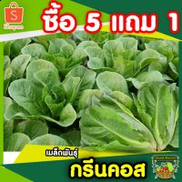 ซื้อ 1 แถม 1，50 เมล็ด (ไม่ใช่พืช)5แถม1เมล็ดผักสลัดกรีนคอส สายพันธุ์แท้คุณภาพ