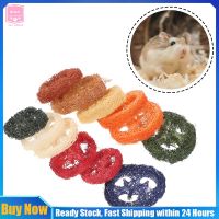 Qifull 12pcs Loofah Chew Toys Animal Guinea Pig Chew Toys Rabbit Loofah Toys