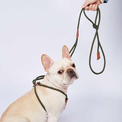 เชือกไนลอน CAWAYI สำหรับสุนัข J09สายจูงปลอกคอสุนัขสายรัดแบบ All-In-One กันระเบิดสายรัดหน้าอกปรับได้อุปกรณ์สำหรับสัตว์เลี้ยงสุนัข