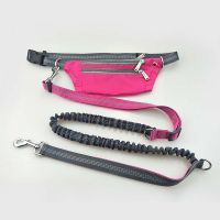 Pet Leash Dog Leash Waist Waterproof Pockets Traction Rope Running Belt Elastic Hands Freely Jogging Pull Pet Supplies