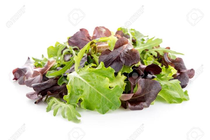 เมล็ดพันธุ์-ผักสลัด-salad-mix-สลัดมิกซ์-จำนวน-50-เมล็ด-อัตราการงอก-99