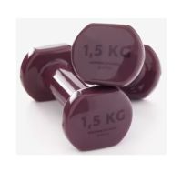 Fitness 1.5 kg Dumbbells Twin-Pack ดัมบ์เบล สำหรับ กระชับกล้ามเนื้อ แพ็คคู่ ขนาด 1.5 กก