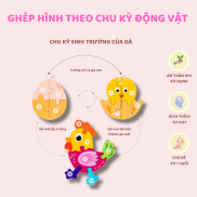 Đồ chơi gỗ ghép hình theo chu kỳ sinh trưởng của động vật