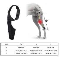 สายนิรภัยพันขาสำหรับเท้าฝาครอบตัวต่อรองรับการบาดเจ็บของสุนัขเข่าขาสุนัขสัตว์เลี้ยงอุปกรณ์พยุงเข่า