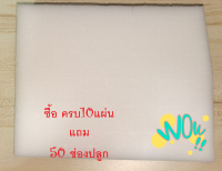 ฟองน้ําปลูกผักไฮโดรโปนิกส์ เกรดส่งออก  1 แผ่น