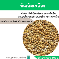 มิลเล็ตเหลือง (แบ่งขาย 200-500G.) สำหรับหงษ์หยก กระจอกชวา นกเขาเล็ก เขาชวา