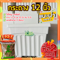 2แถม1ฟรี?กาบมะพร้าวสับ กระถางต้นไม้ 12” กระถางขาว กระถางปลูกต้นไม้ กระถางกุหลาบ กระถางปลูกบอน กระถางใหญ่ เนื้อดี??