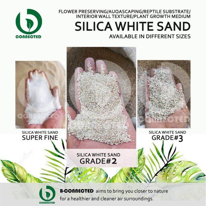 SILICA WHITE SAND (GRADE2 1 KILO) BY BCONNECTED / AQUARIUM